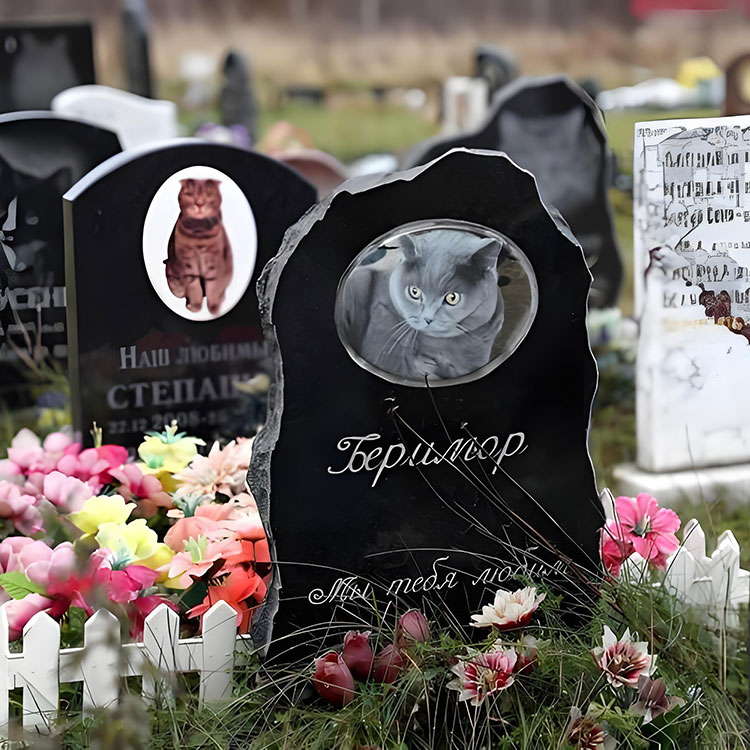 Quod Customization Options Elevate pet Memorial Plaques ultra basic nomina?