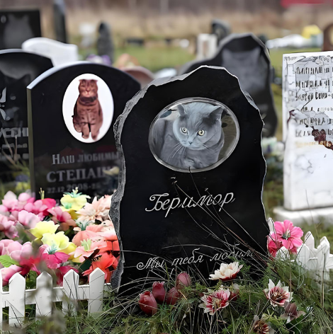 Quare considerandum est pet Memorial?